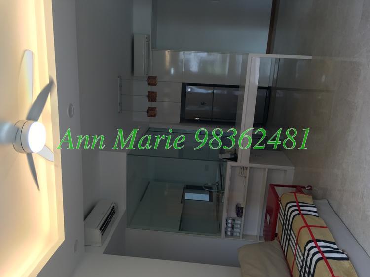 Palm Isles (D17), Condominium #165055072